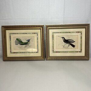2 Trochilus Hummingbird Prints Jardin's Naturalists Library Lizars - No COA